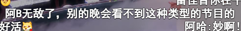 弹幕评价